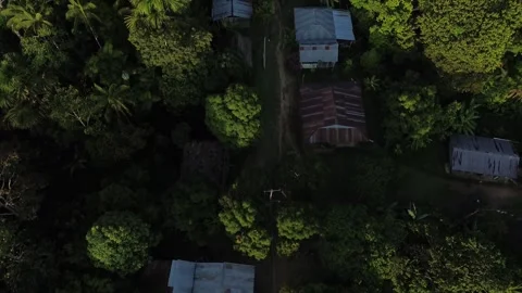 Native Amazon Village fly-over reveal shot of the surroundings of the village Stock Footage 253427700