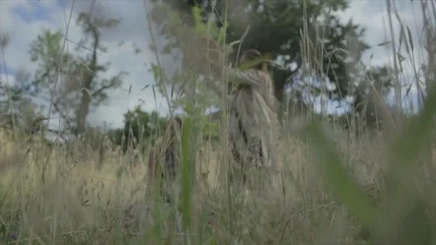 Native American ceremony. Stock Footage 82328402