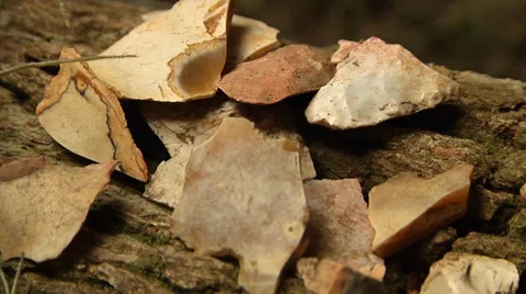 Native American Chert fragments Stock Footage 37120595