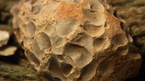 Native American, ECU Chert chipping rock, Native American Tool Stock Footage 37086052