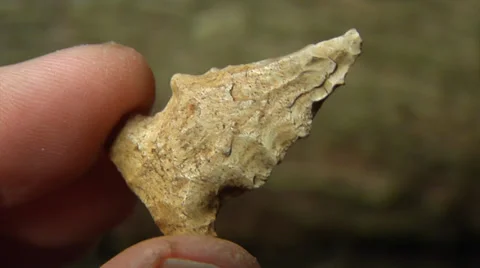 Native American, ECU Small arrowhead made by Native American Stock-Footage 37120457