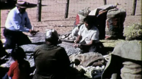Native American Indian Family Harvests Corn Food Crop 1960s Vintage Film Footage Stock Footage