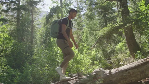 Native American man with backpack hikes in forest, walks across fallen tree log 스톡 동영상 247985895