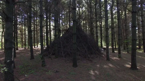 Native American Tipi in the middle of a cedar forest Stock Footage 57283581