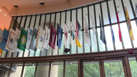 Native American tribal flags on display in museum Stock Footage 320747032