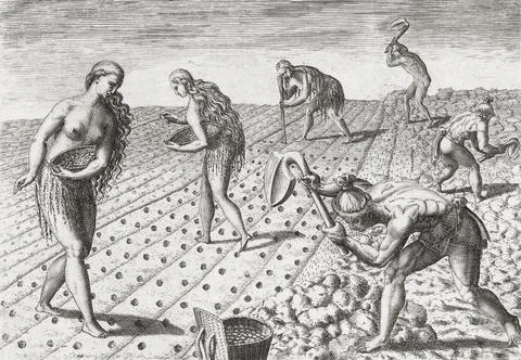 Native Americans, both men and women, till the soil and plant seeds.  After a la Stock Illustration