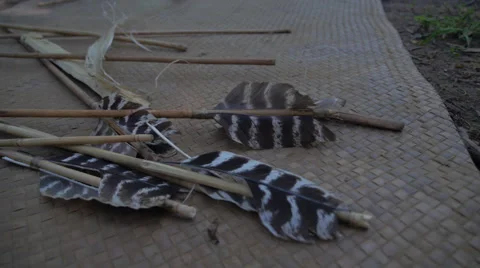 Native Americans - Bow &amp; Arrows Vidéo 63498774