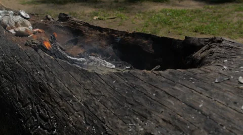 Native Americans - Canoe Carving  Stock Footage 63749751