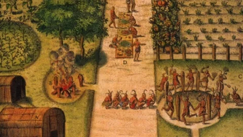 Native Americans, Colonial Representations (Silent) Stock Footage 139059960