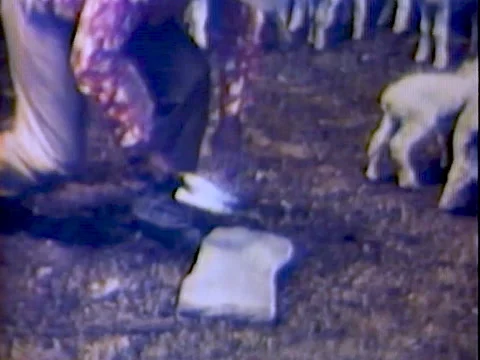 Native Americans sheer sheep Stock-Footage 139947711