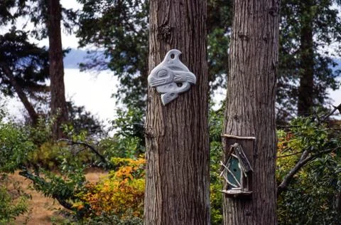 Native art on a cedar tree 스톡 사진