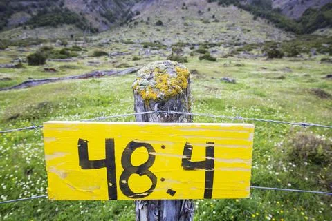 Native Beech and Pine forest between Puerto Natales and Seno Obstruccion chop Stock Photos