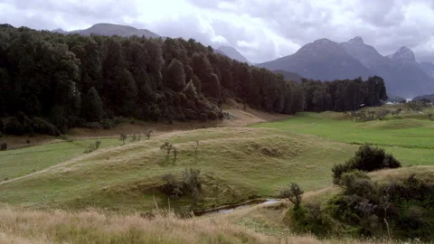 Native beech tree forest in New Zealand Video stock 159805499