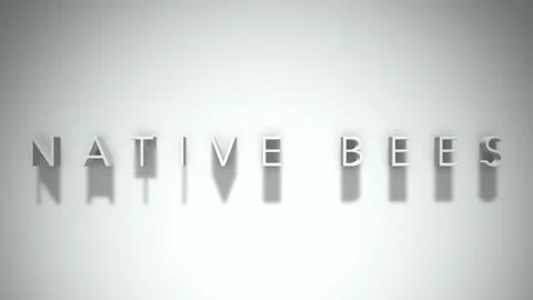 Native Bees 3D title animation with shadows on a white background Stock Footage 296607357