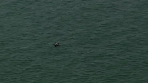 Native bird condor of the Peruvian Andes Stock Footage 52220274