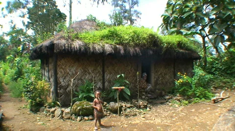 Native boy Stock Footage 368792