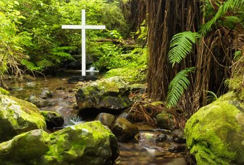 Native bush cross Stock Photos