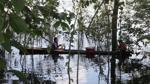 Native children from the Amazon bathing Stock Footage 46623920
