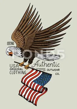 Native eagle american. wild bird. old label and badge. engraved hand drawn in Stock Illustration
