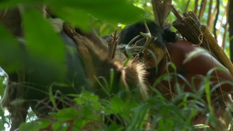 Native Eastern Woodland Indian Warriors on the hunt with bow and arrow Stock Footage 92746292