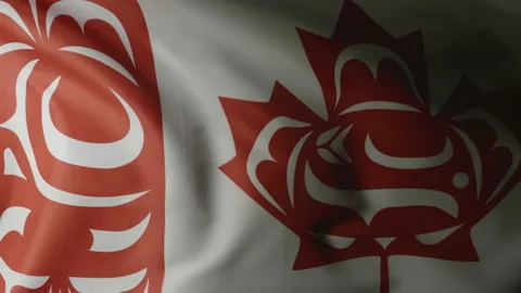 Native Flag Symbol Sign, North American Haida Canada Colorful Maple Leaf Ensign Stock Footage 156598311