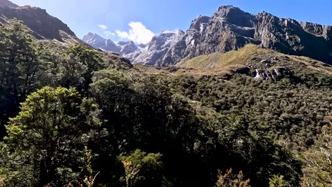 Native Forest and alpine mountain views on the Routeburn Track, Fiordland N.. Stock Footage 295248637