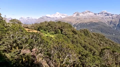 Native Forest and alpine mountain views on the Routeburn Track, Fiordland N.. Stock Footage 295248676