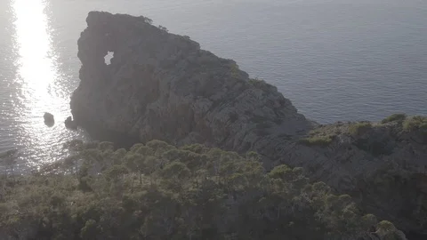 Native forest and rocky cliff next to Balearic sea at Mallorca, Raw in 4K Stock Footage 89893919