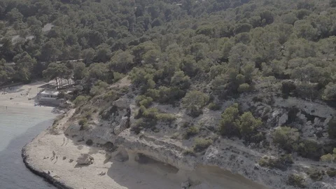 Native forest and sea shore, aerial drone shot, Mallorca island, Raw in 4k Vidéo 89866091