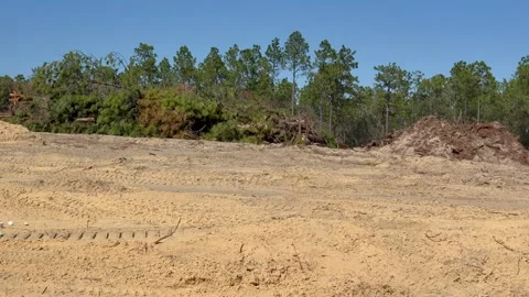Native forest habitat destroyed for new housing Video stock 330246653