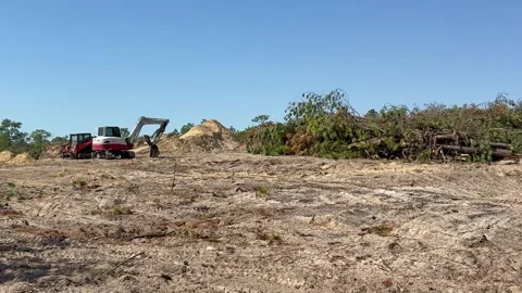 Native forest habitat destroyed for new housing Stock Footage 330246659