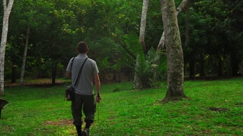 Native Guide Walking Through a Jungle Clearing with Machete Stock Footage 302571551