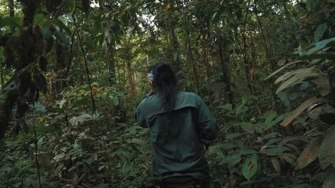 Native Guide Walking in Wild Jungle of Amazonia Stock Footage