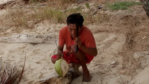 Native Guna man chops coconuts tree on San Blas Stock Footage 98175825