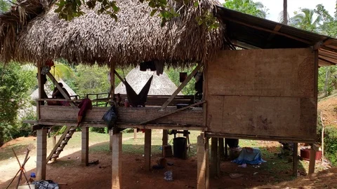 Native indian Thatched hut home at the Embera Indian village. Stock Footage 88335111