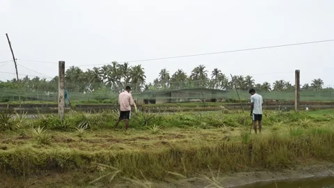 Native indian workers plowing fields and cleaning weeds Stock Footage 159989872
