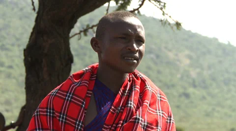 Native Masai man portrait Stock Footage 33687090