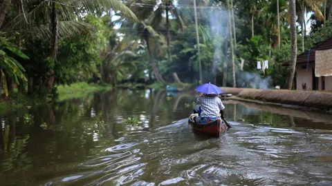 Native paddling across the river in the rainforest Stock Footage 233396220