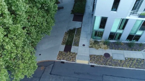 Native plants called Bio-swales located next to green office building Stock Footage 83946840
