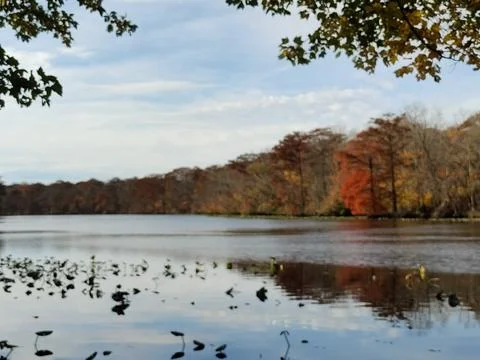 Native River 스톡 사진