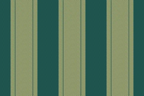 Native seamless lines vertical, stylish texture fabric vector. Sensual back.. Stock Illustration