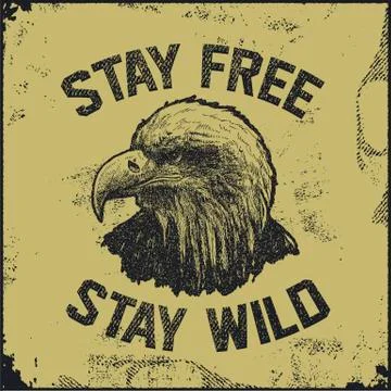 Native spirit poster with eagle Stock Illustration