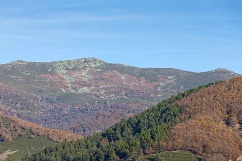 Native tree forests of Leon in Spain Stock Photos