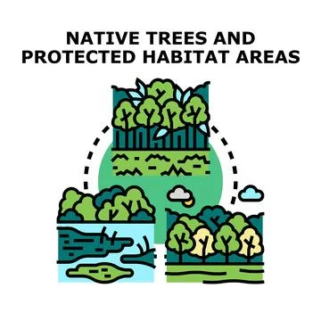 Native trees and protected habitat areas concept Stock Illustration