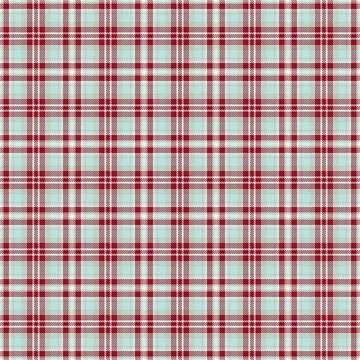 Native vector textile pattern, store plaid fabric check. Teenage background.. Stock Illustration