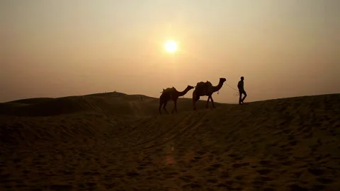 Native walking with camels across the desert at sunset Stock Footage 233154497