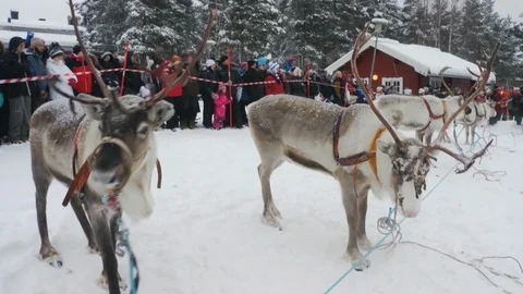 Natives of Lapland's traditional competi... | Stock Video | Pond5