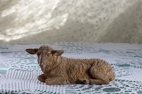 Nativity scene sheep Stock Photos