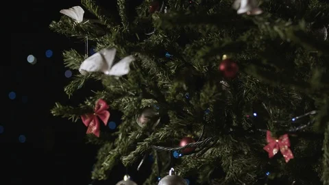 Nativity set under the christmas tree Stock Footage 98636760