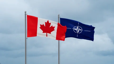 NATO and Canada flag Video stock 252024832